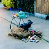 cartmanuk