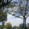 raihan.alghifari01