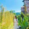 ngan_hien36