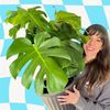 gracetheplantlady