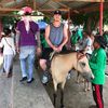 jakobandhishorse