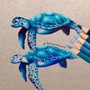 thethreemusketurtles