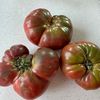 tomatoesinparadise