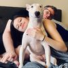 bull.terrier.mama