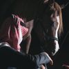allshami111
