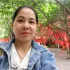 hongdang31