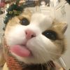 kimmnotfound2