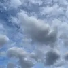 _cora49