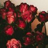 queensoum19