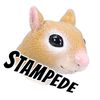 Squirrel Stampede