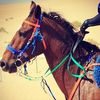 ms5yalah