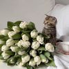 hanay_07