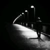 alshreeef2025