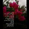 halaqp