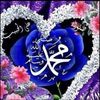 user521200841