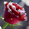 user0yx0de4897