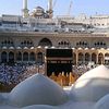 raoufaadm5