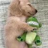 hedgehogappreciator
