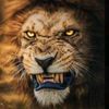 savage01277