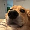 emilyburdige