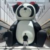 imadfarhat7