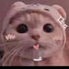 milk121833____________