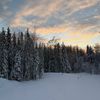 alaskawild11