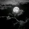 hseen_739