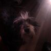 richardo_215