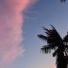 - صدقه لـِ أمُي رحمها الله ..