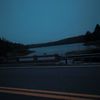 nocturnal7416
