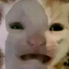 qvie_08
