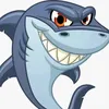 shark fishing
