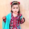 waseemahmed9493