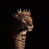 Сабрина🖤🐆