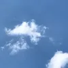 lisalosaiii