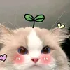 shanyu_no1