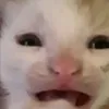 atla_ntik