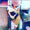 lolas_cottage