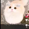 tiktok.comduyetmom