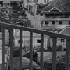 sakanasakanasakanaaaa