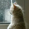 valentina_553512