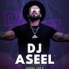Dj Aseel ديجي اصيل