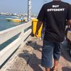 programispending2