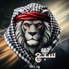 sb3_eg