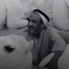 ABDULRHMAN AlAKLABI