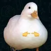 mischievoustwink