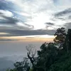baodungdz