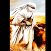 king_afghan_313