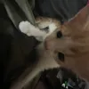 tttthhheeerrr